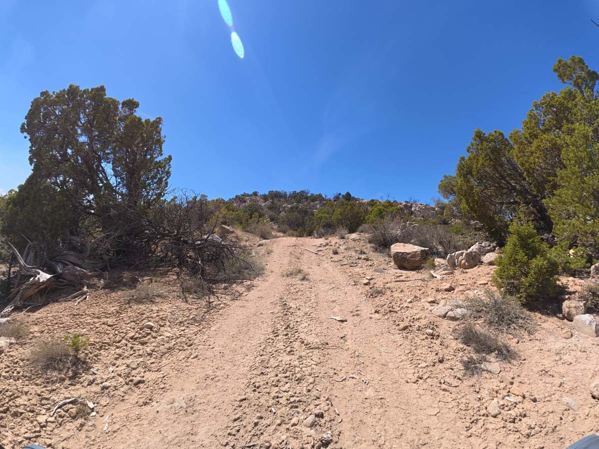 BLM 289 photo 2