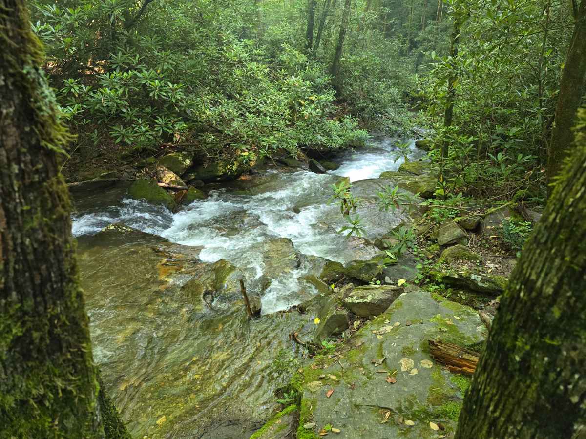 Rockhouse BR - FS 340A photo 4