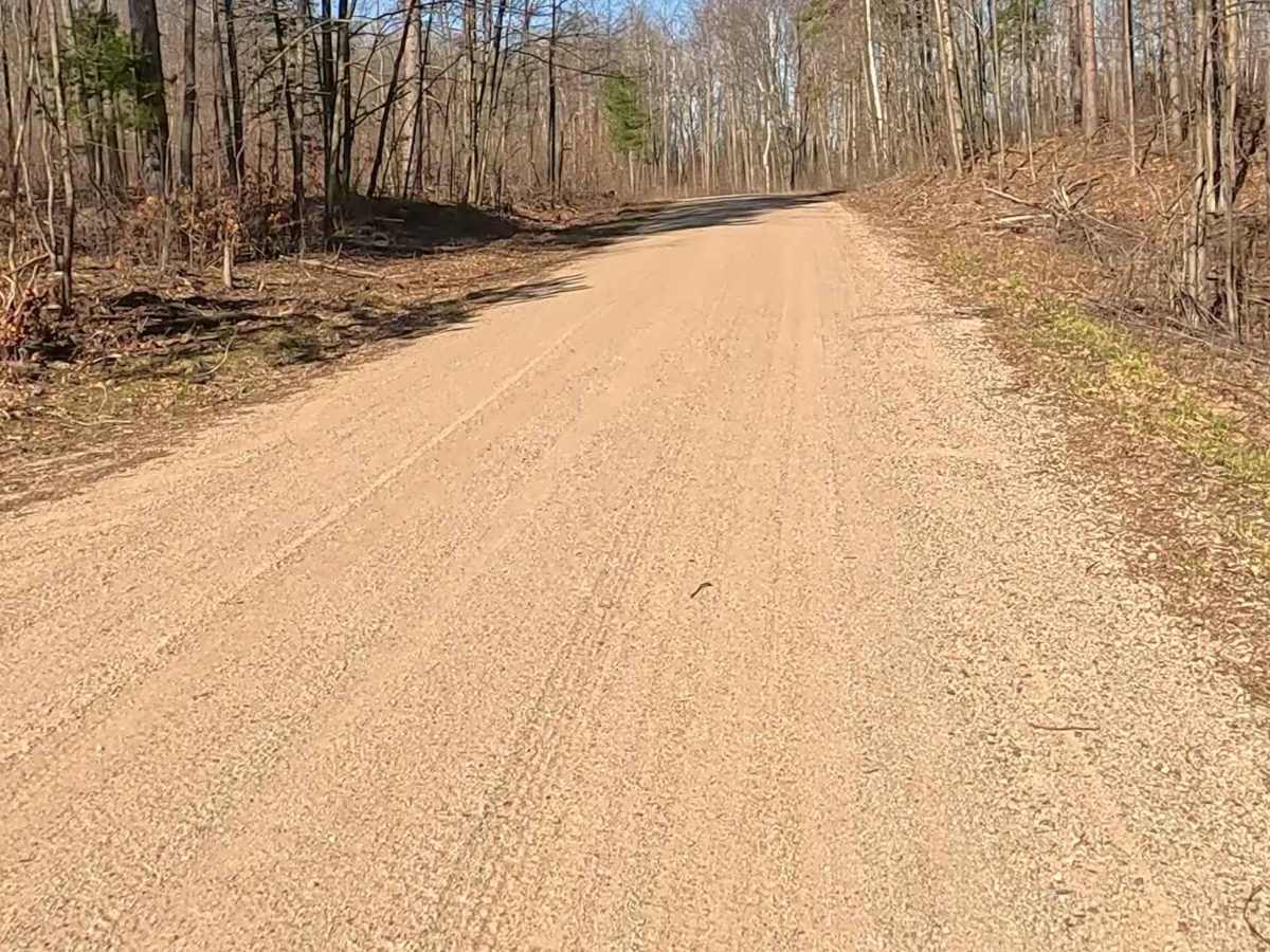 Tabor Rd - FS 4597 photo 6