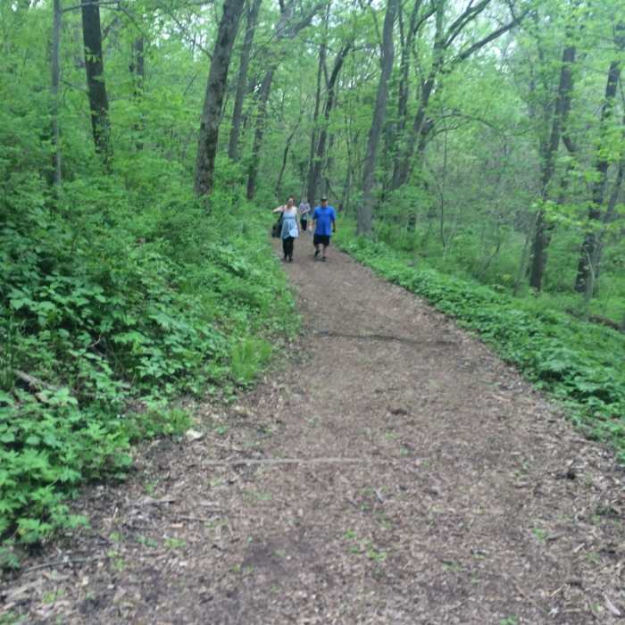 Beautiful canopy overhead for shaded summer walking conditions Near Overland Park Arboretum - Southern Loop Tour