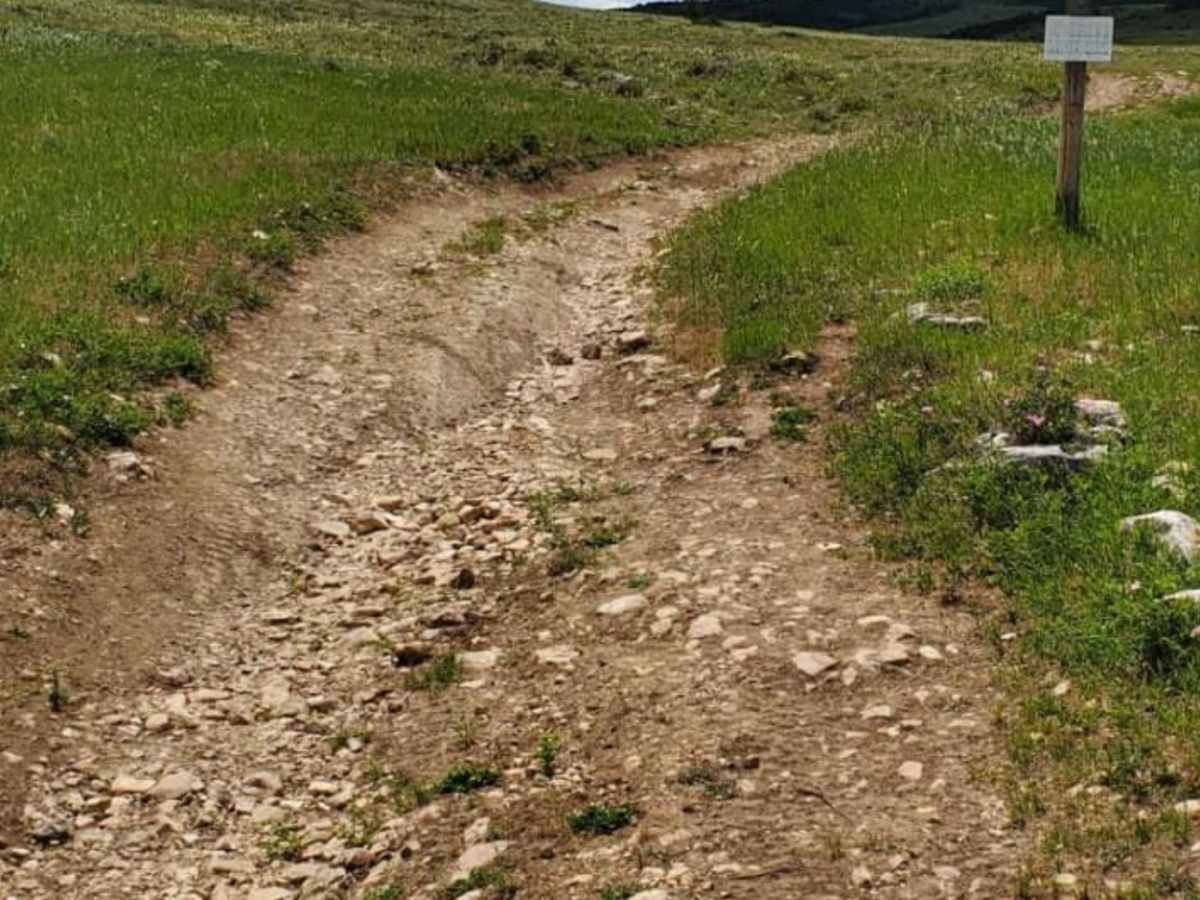 Sheep Mountain photo 6