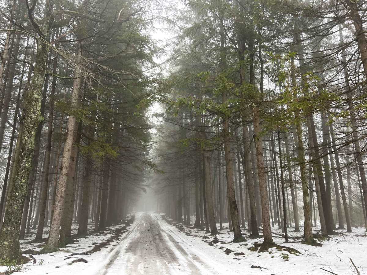 Hessel Gessel Trail photo 6