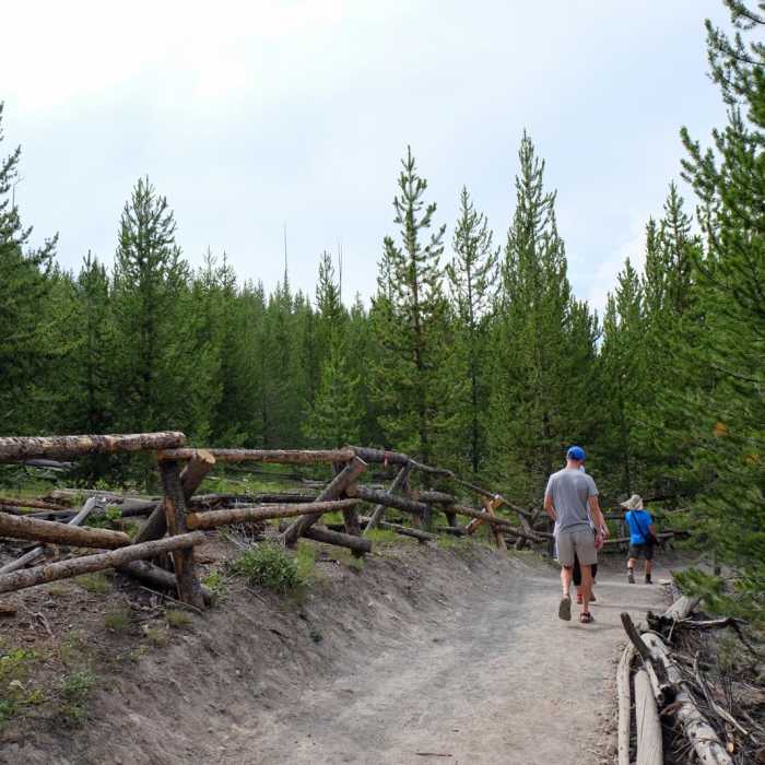 Near Grand Prismatic Spring Overlook