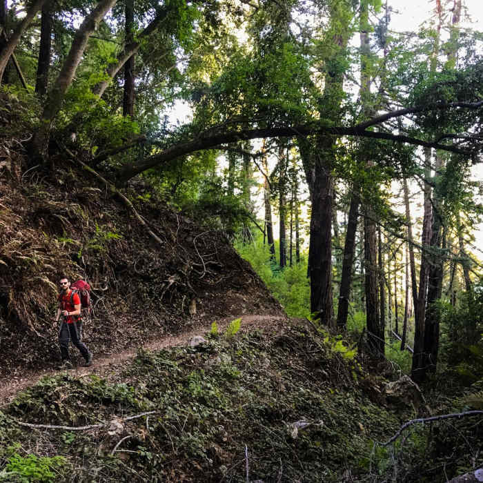 Near Vicente Flat Trail