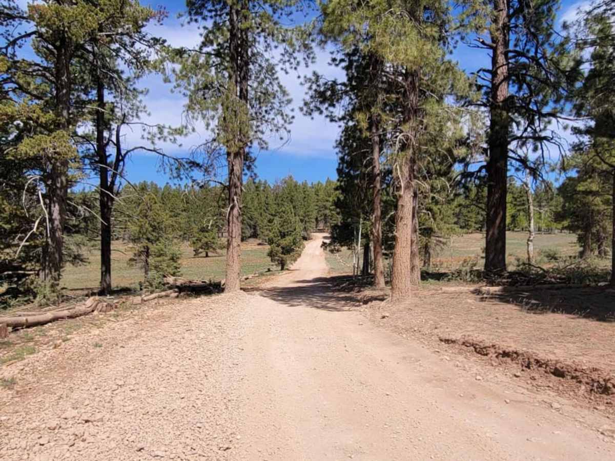Duck Creek Way photo 3