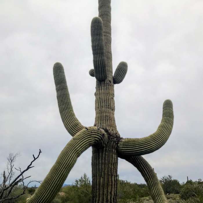 Near Black Canyon Trail: Emery Henderson to Highway 74