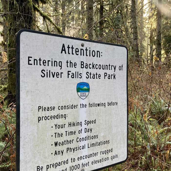 Near Howard Creek Loop