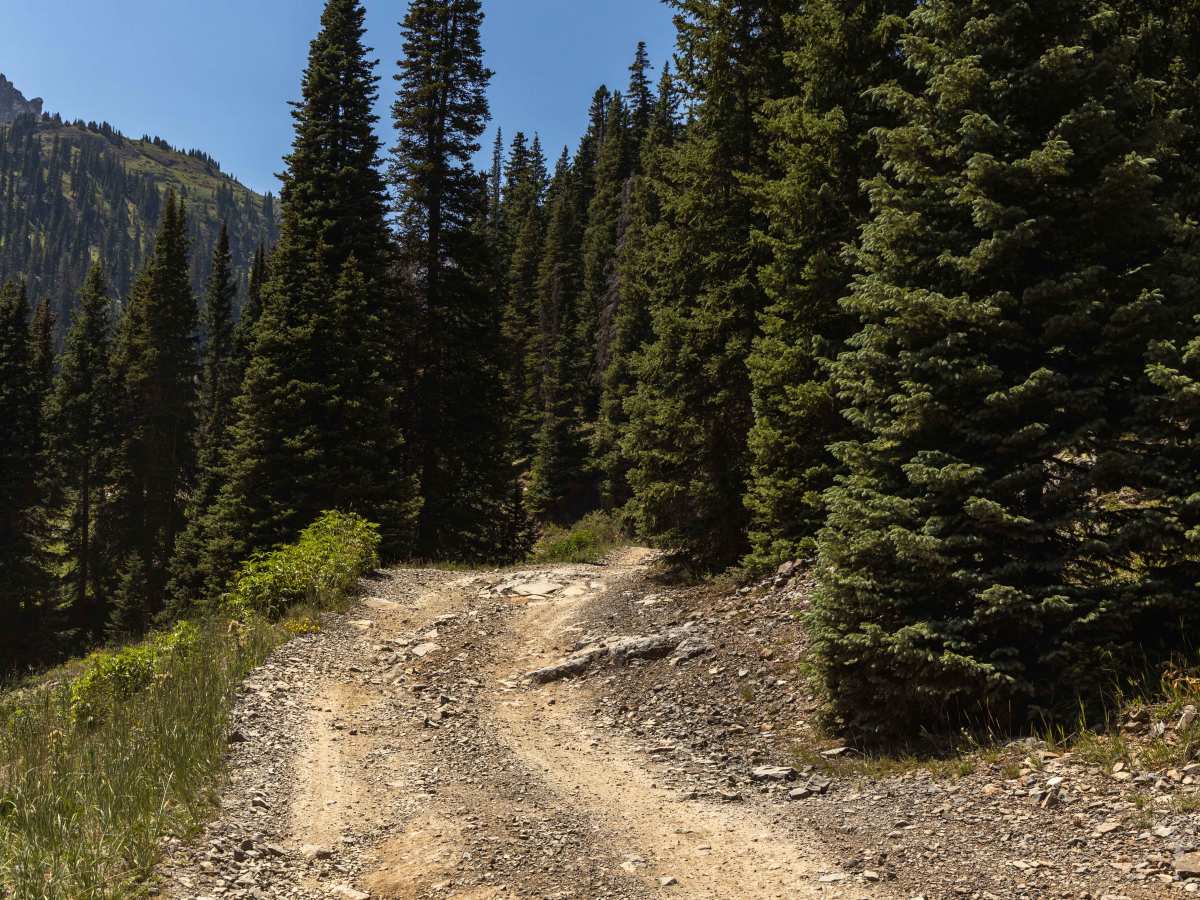 Governors Basin photo 4