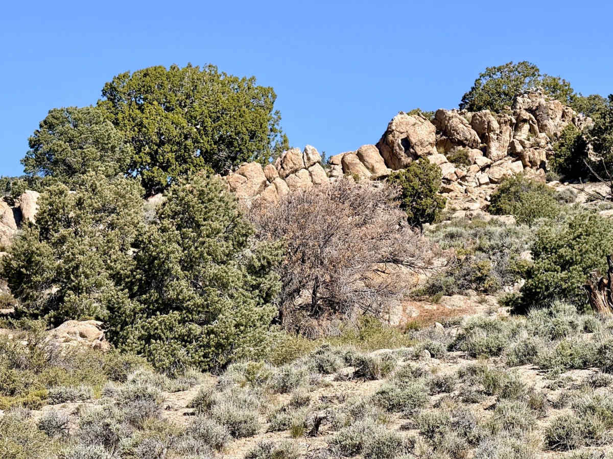 Stewart Spring Road photo 2