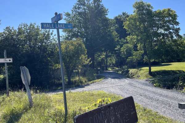 Hale Lake Road