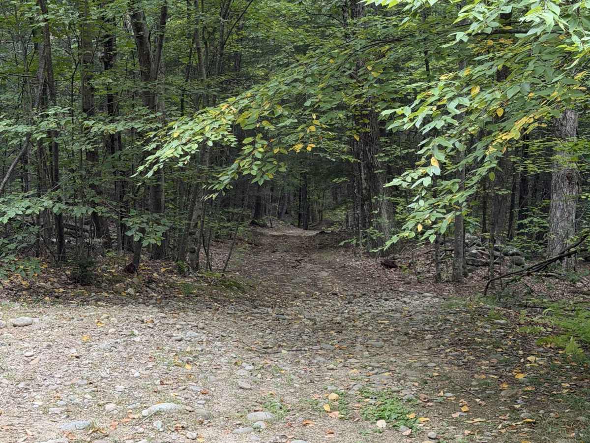 Edan Page Road photo 2