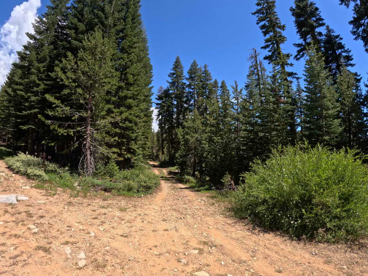 Church Creek Spur - Fs 28-004 photo 4