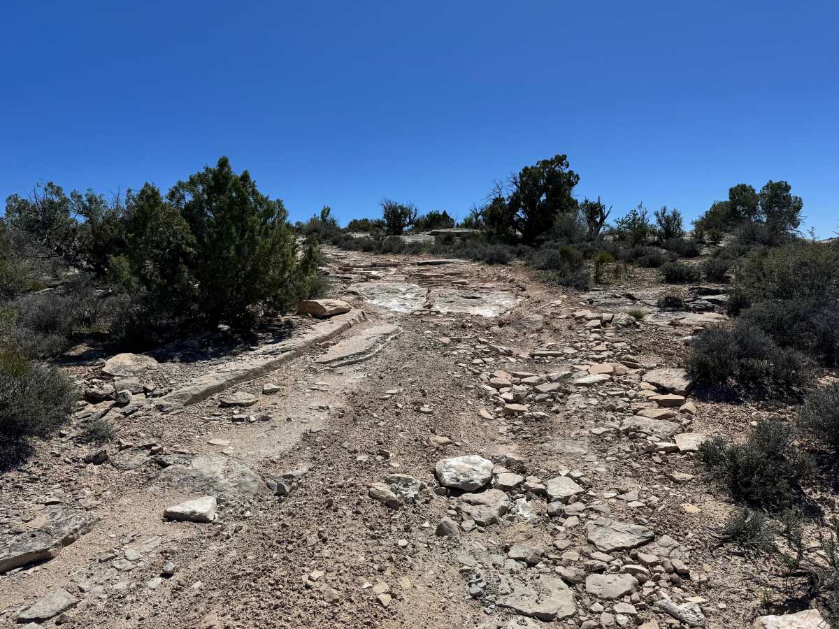 Dome Plateau Trail Spur photo 4