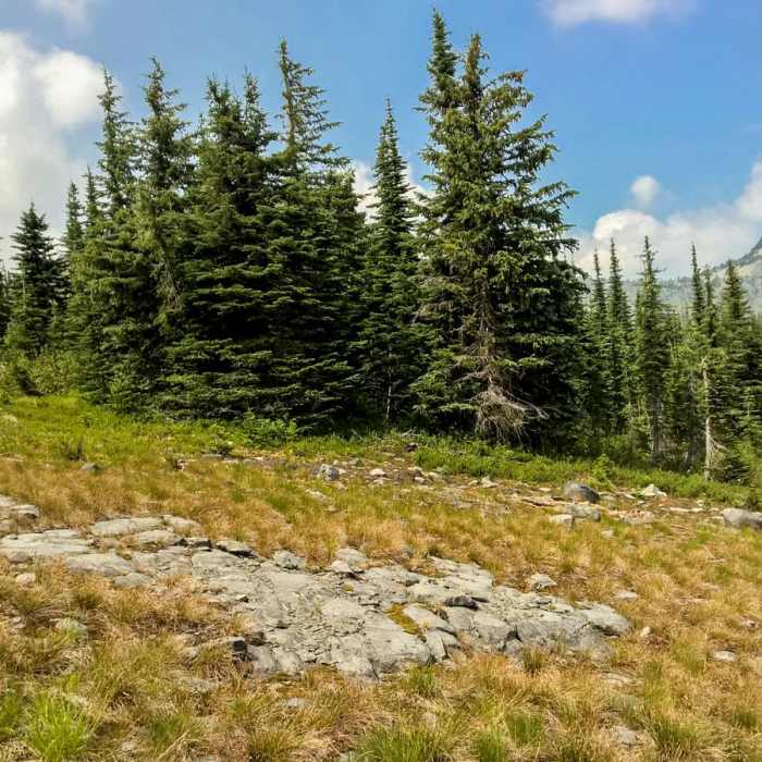 Near Pacific Northwest National Scenic Trail Section 4