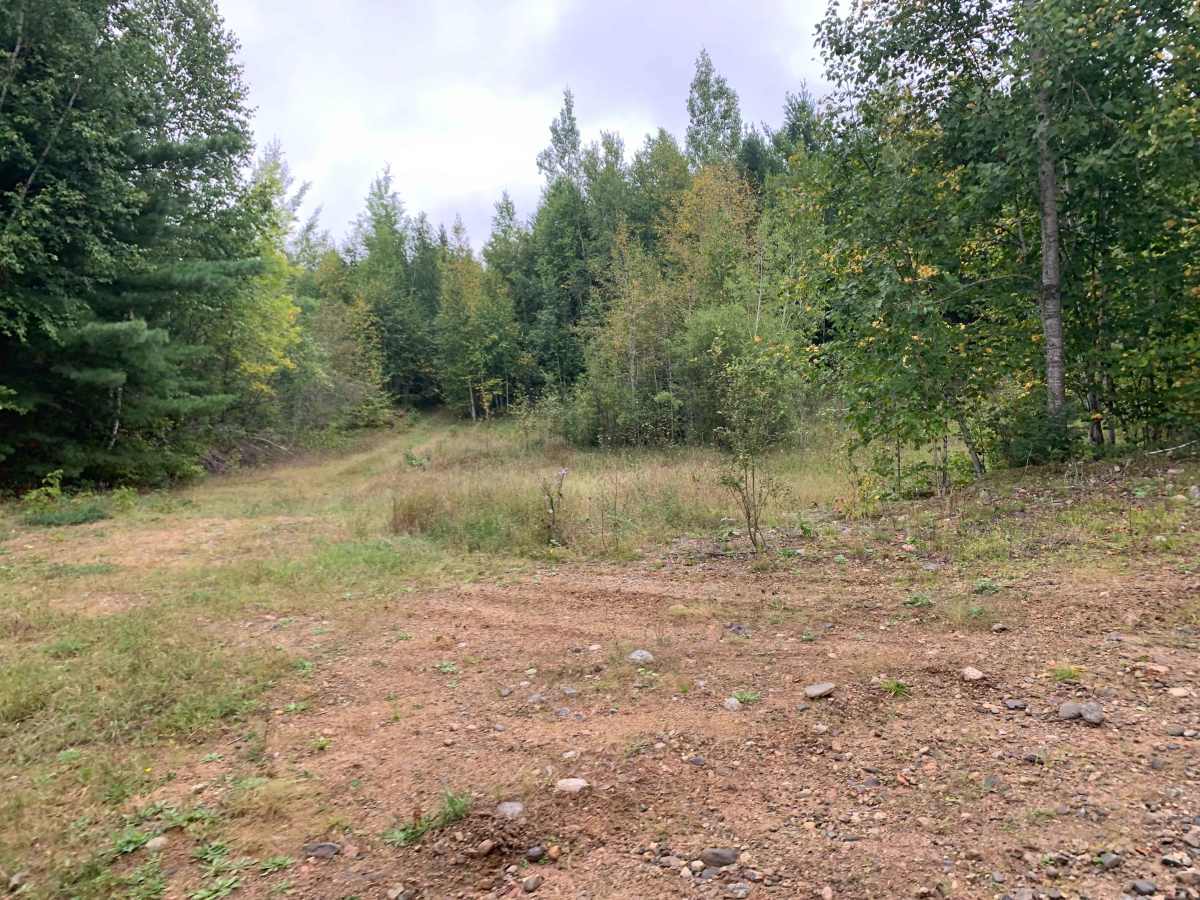 Vermigrade Spur D Trail photo 6
