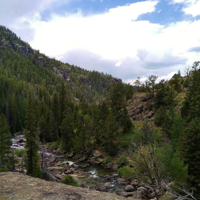 Near Boulder Canyon Trail #7113