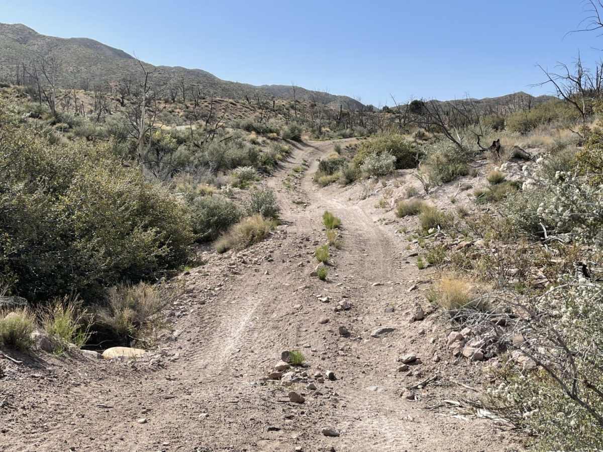 Up & Out Of Oak Patch Wash photo 5