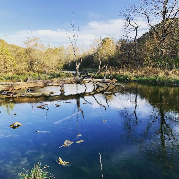 Near Lost Valley Trail - Long Loop