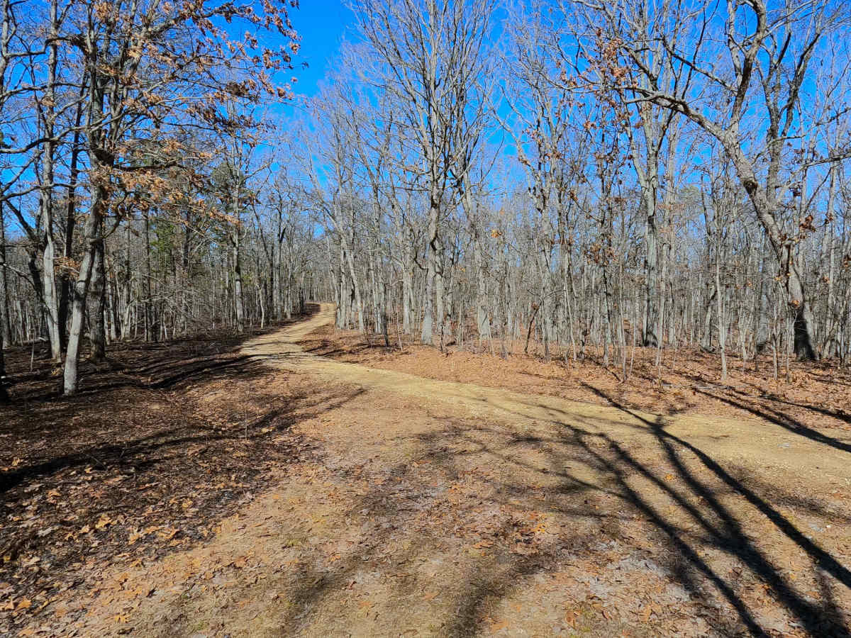 Clear Creek North Side - FS 2269 photo 5