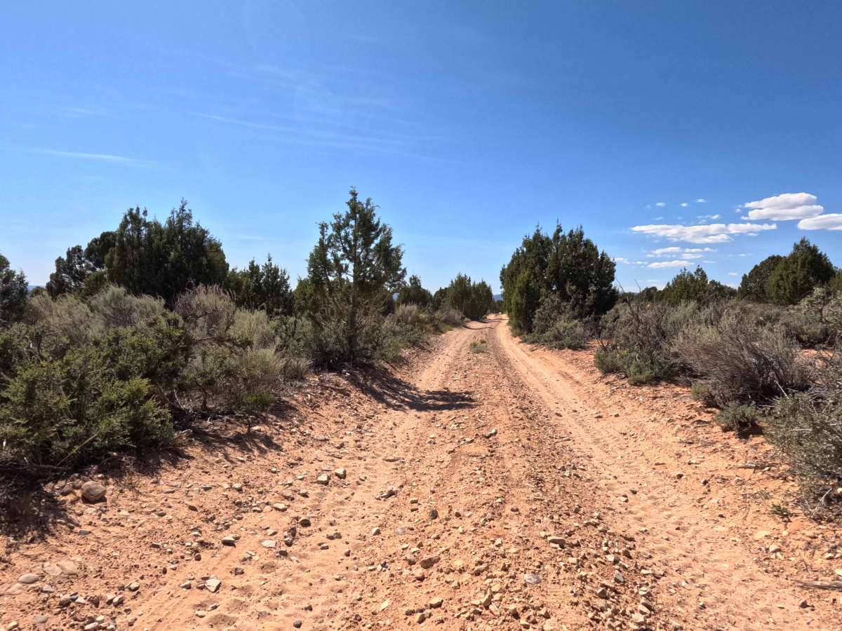 BLM 106L photo 5