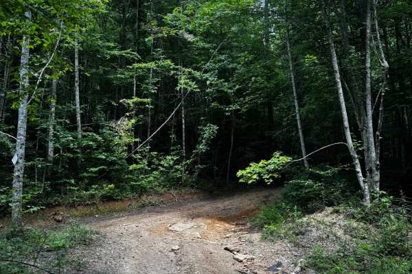 Trail 8A