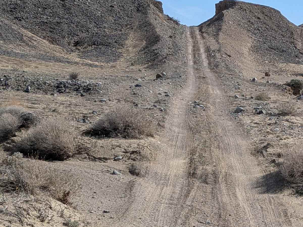 BLM 079 photo 2