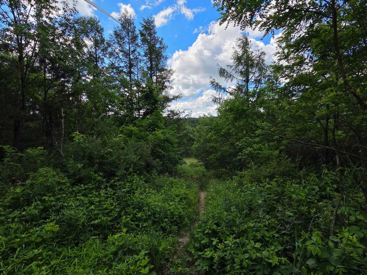 Single Track J photo 3