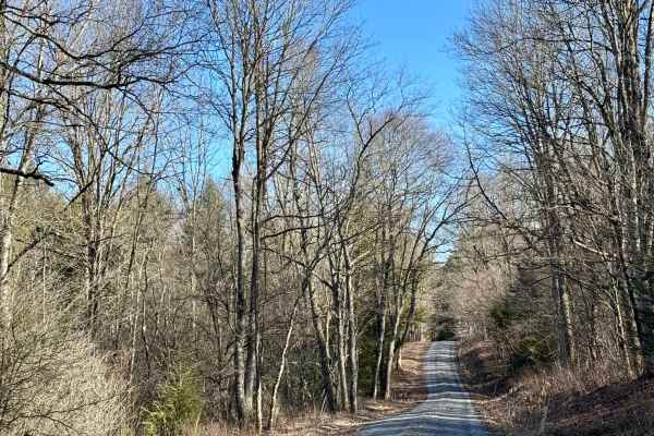 Shintown Run Road