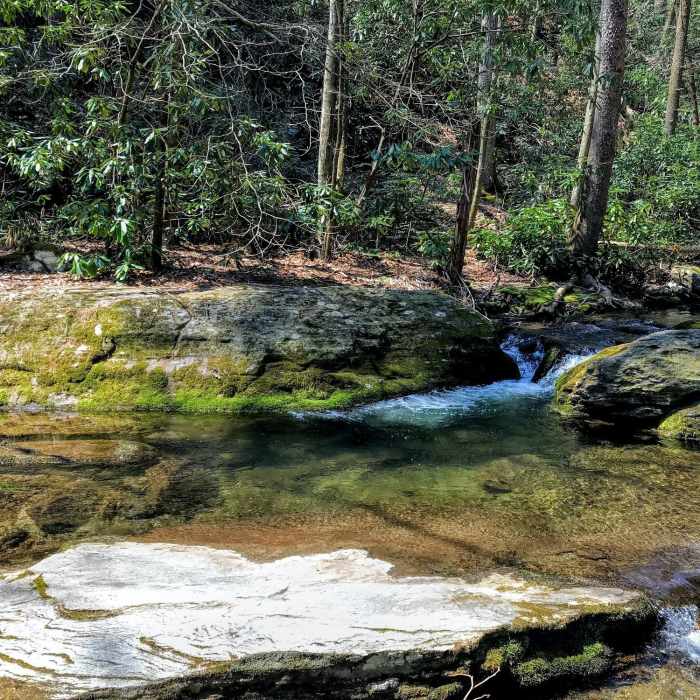 Crystal waters on Basin Creek Near Basin Creek Trail