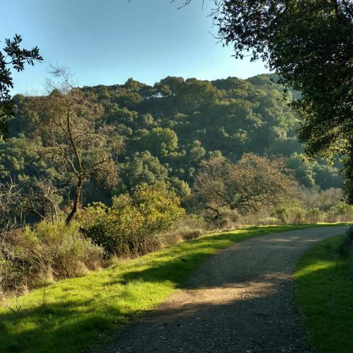 Near Randol Trail
