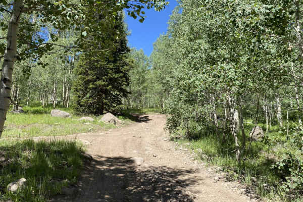 Gates Lake Road