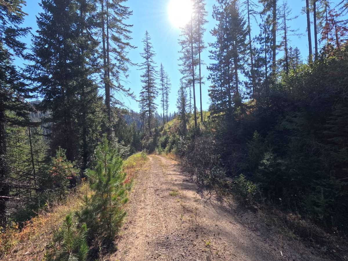 Klahowya Creek A - FS 1075A photo 3