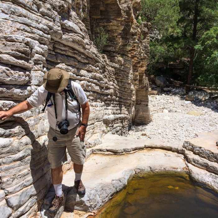 Near Texas Evergreen Tour