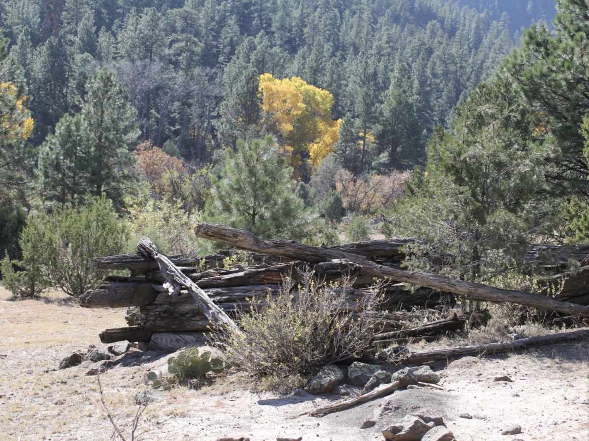Rio Del Oso photo 3