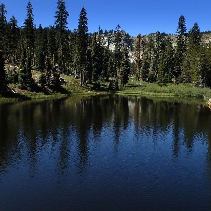 Near Mount Elwell Loop