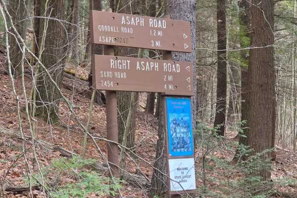 Asaph Run Road
