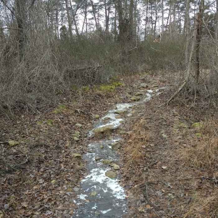 Near Tour of Lake Roland