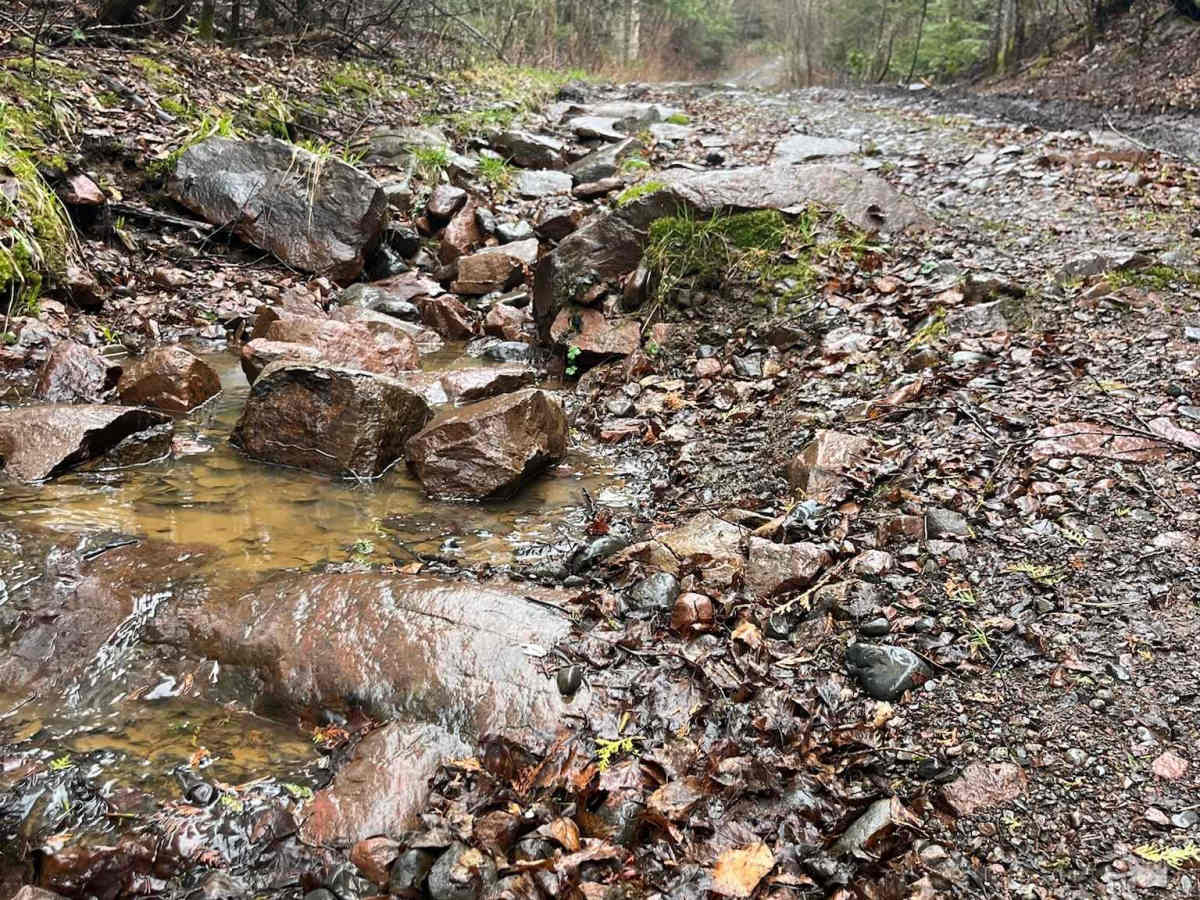 Thrasher Trail photo 2