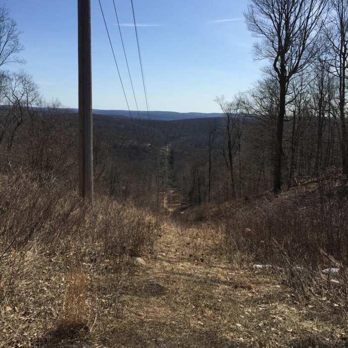 Power lines opening. Near Sterling Ridge Trail