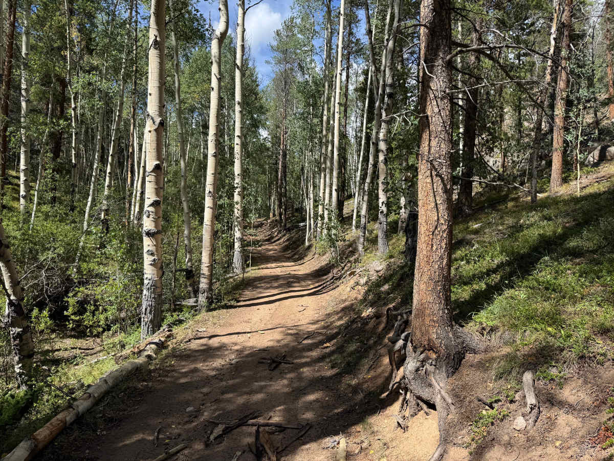 Willow Creek Road photo 5