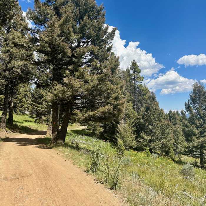 Near Continental Divide Trail: Montana-Idaho Section 20