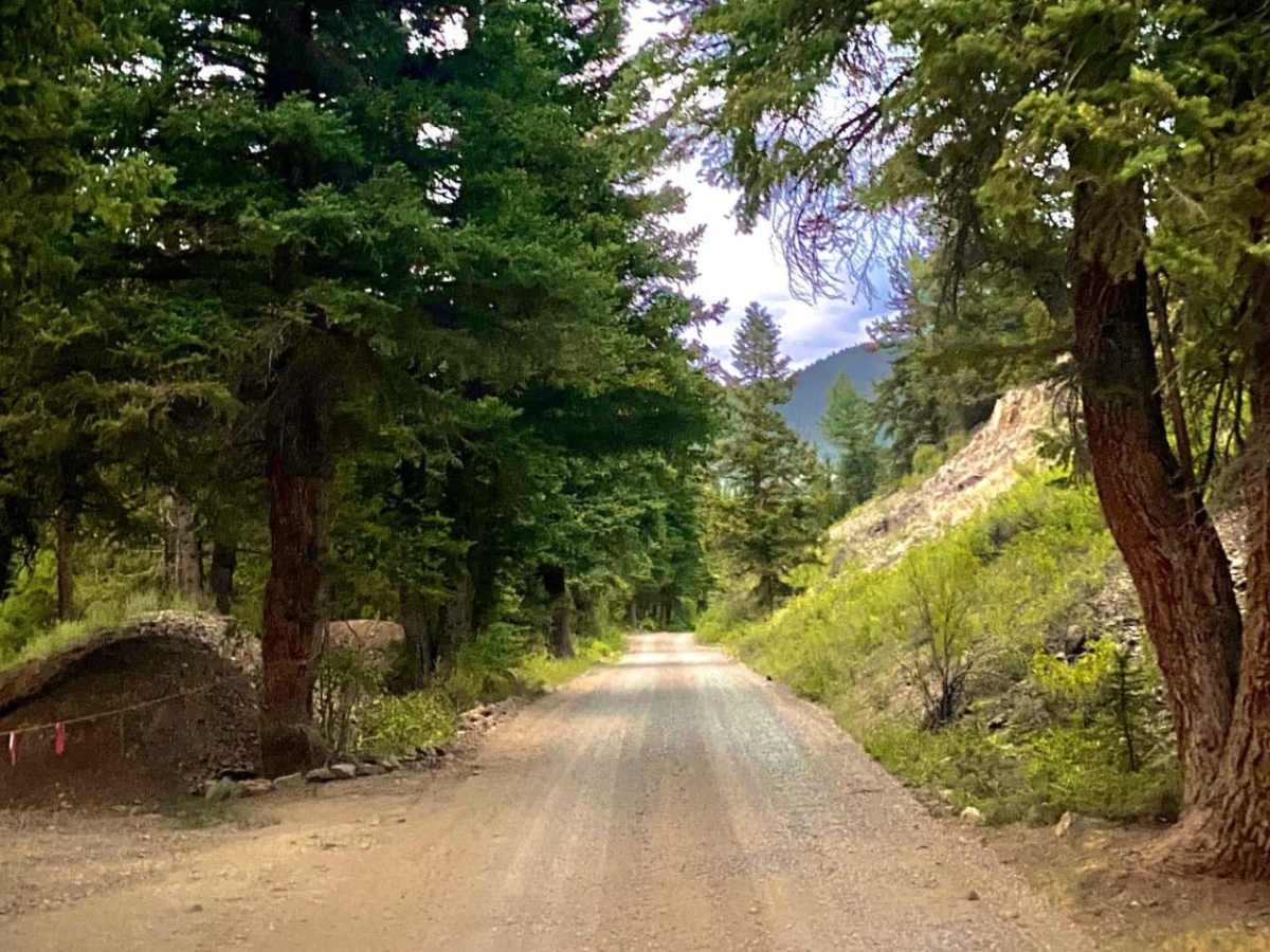 Miners Creek Road photo 3