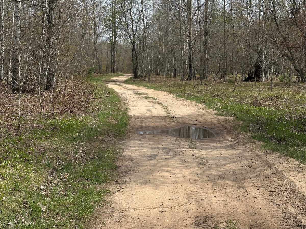 Blue Lake Road photo 3