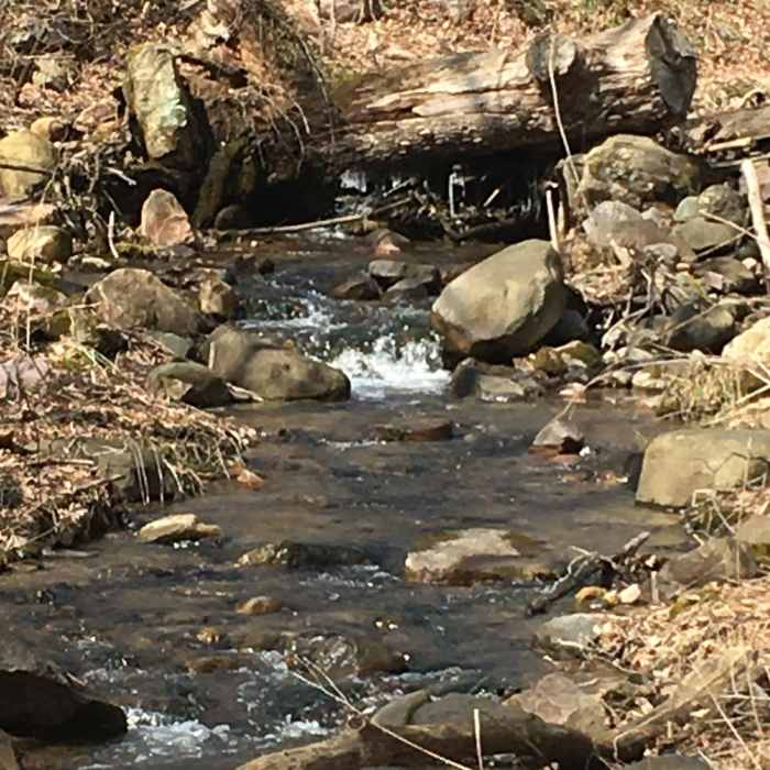 View of the creek just past the trailhead Near Parfrey's Glen Trail
