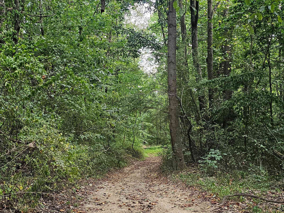 Trail 24  photo 4