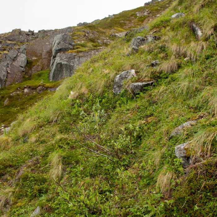 Near Granite Mountain