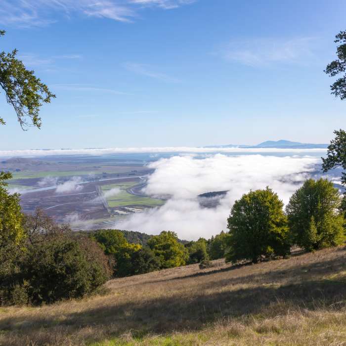 Near Upper Mount Burdell Trail Near Upper Mount Burdell Trail
