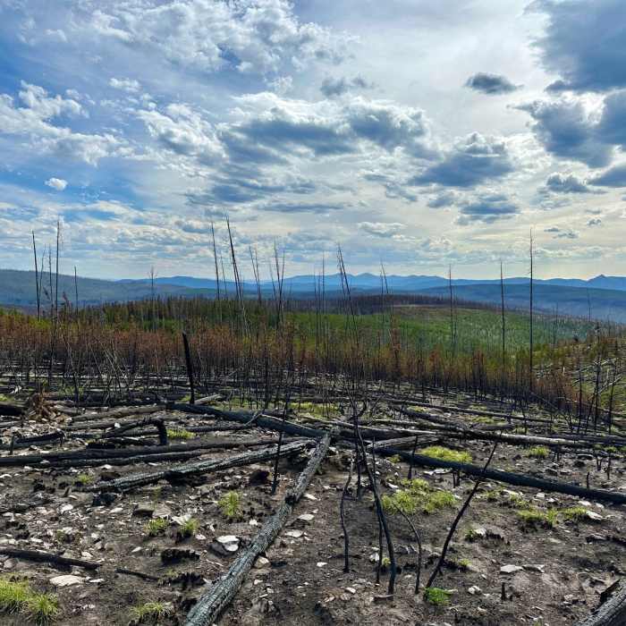 Near Continental Divide Trail: Montana-Idaho Section 13