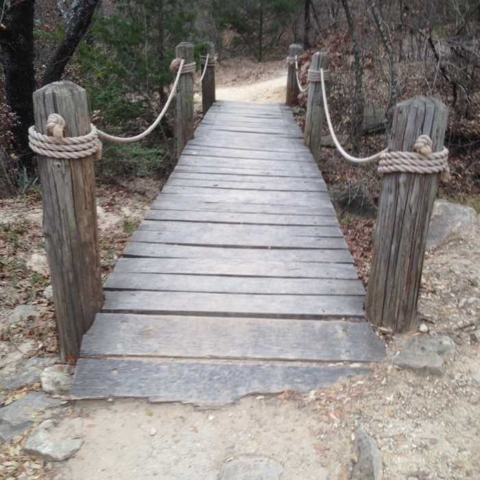 Near Overlook Trail