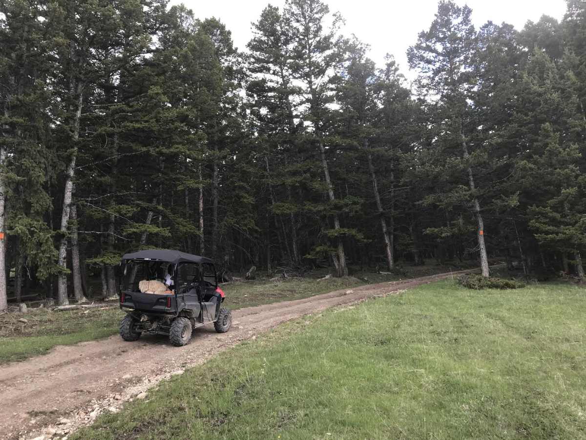 554 Wildcat and 528 Geyser Creek photo 6
